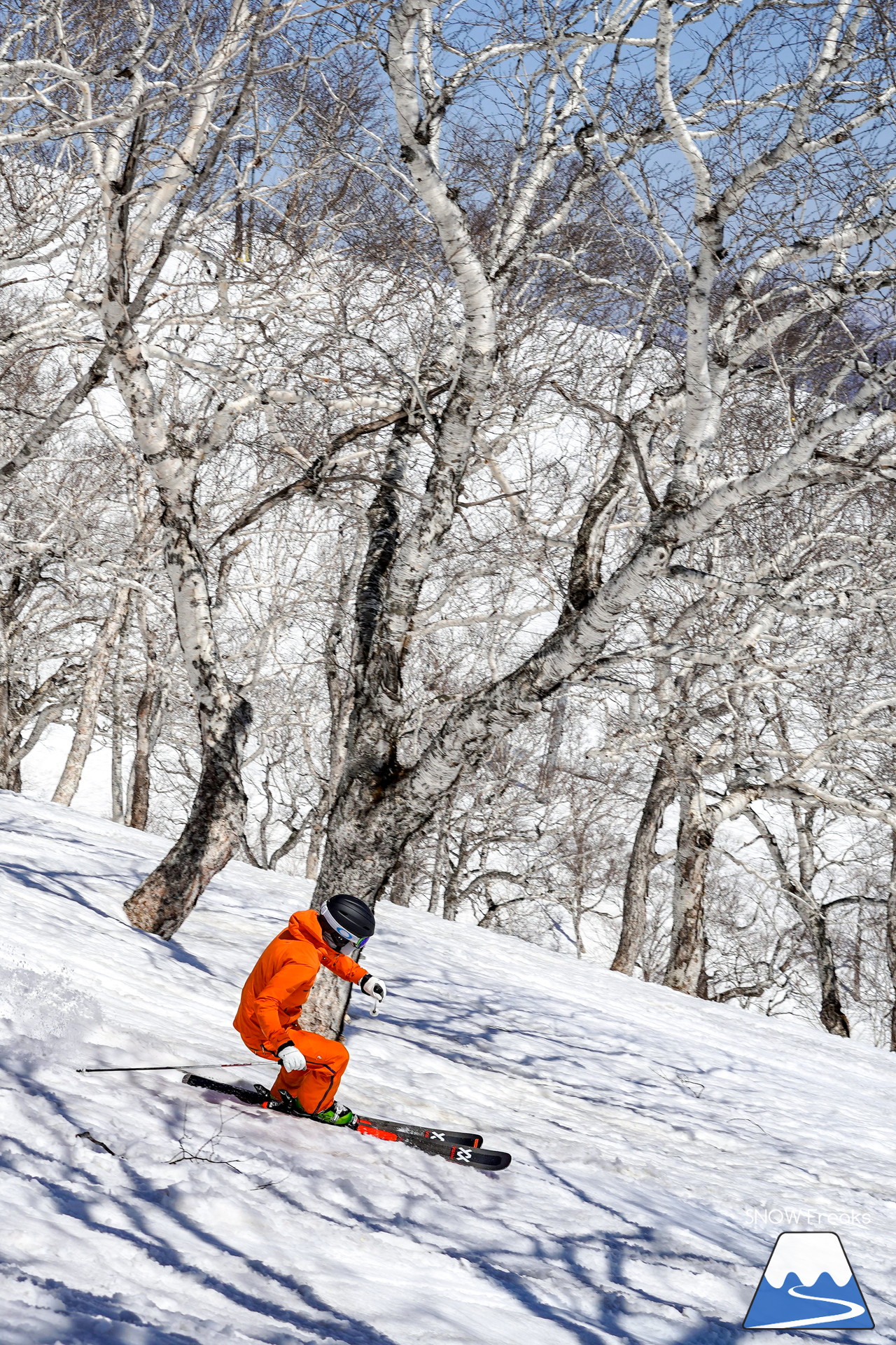 ニセコグラン・ヒラフ DYNASTAR SKI TEST RIDE DAYS Photo Session!!最高の天気に恵まれたニセコに、最高の仲間たちが集まりました☆